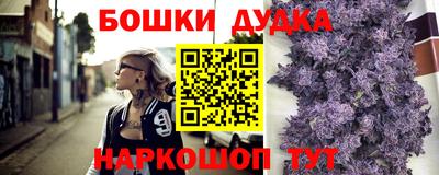сатива Лесосибирск