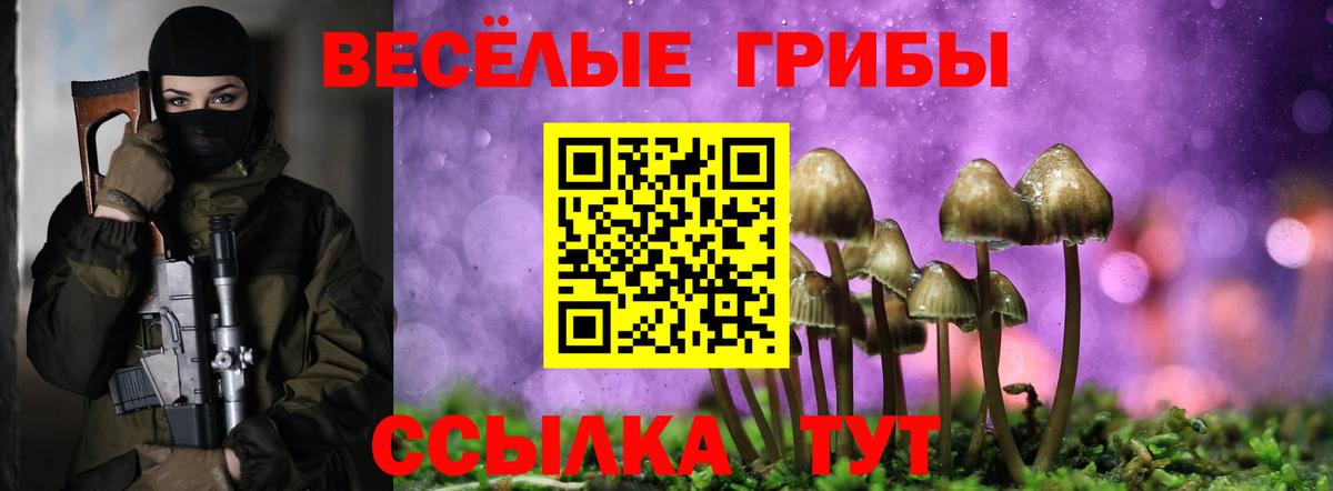 Галлюциногенные грибы мицелий Донецк